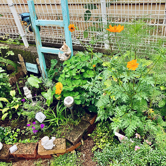 CoCo0617さんの実例写真
