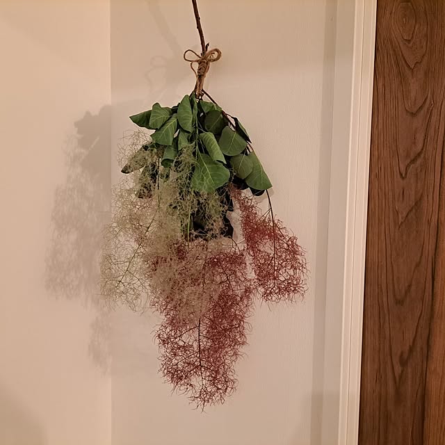 kankanmom_horn_5catsさんの部屋