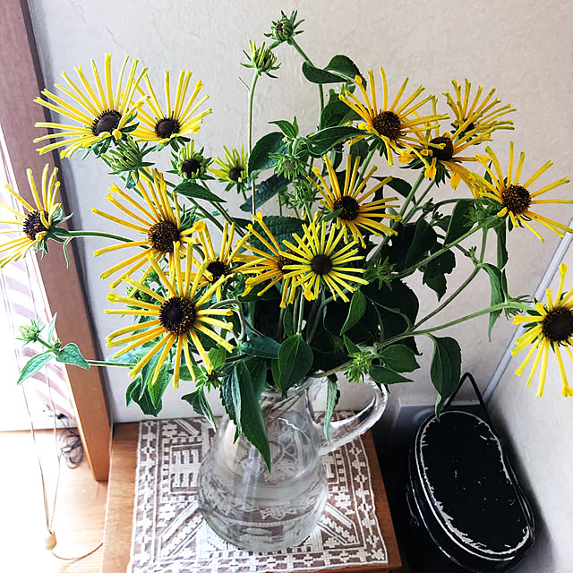 Sunocoさんの実例写真