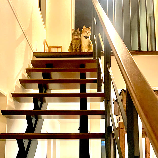 cooさんの実例写真