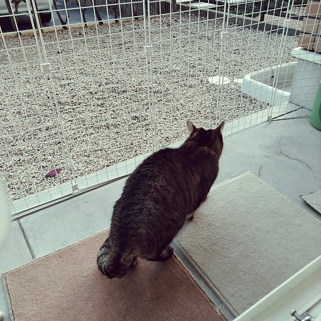 lilyさんの実例写真