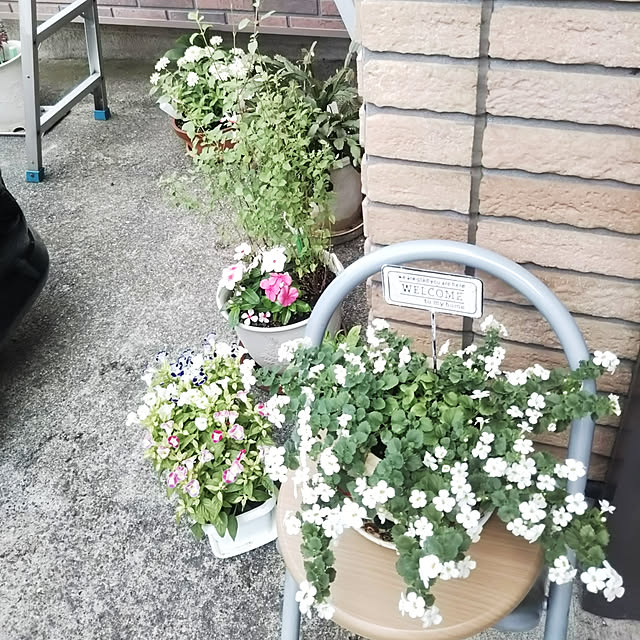kiraさんの実例写真