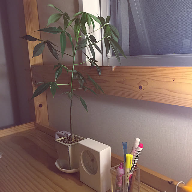 Runaさんの実例写真