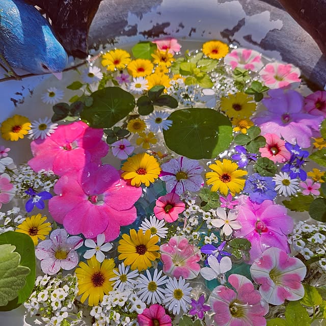 mocomocoさんの部屋