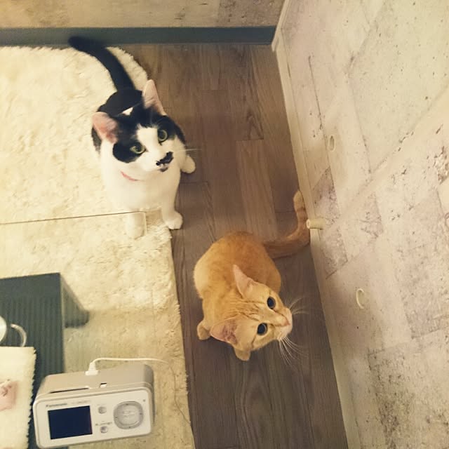 fu-ka24さんの実例写真