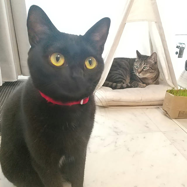 KARENさんの実例写真