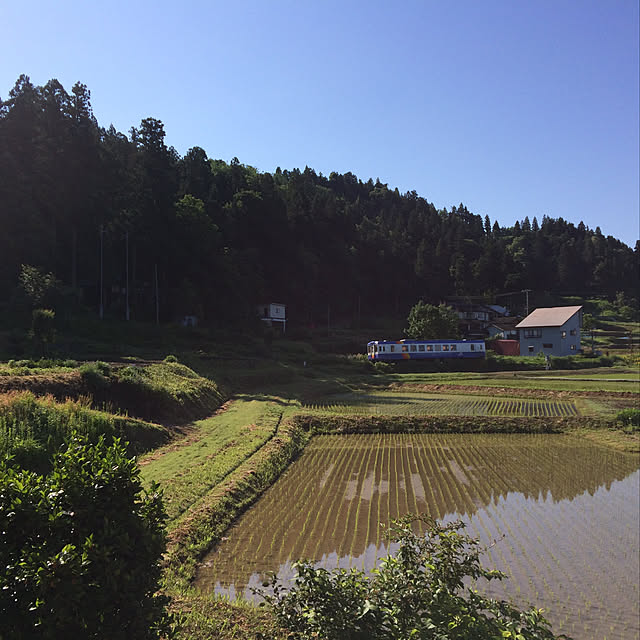 実例写真