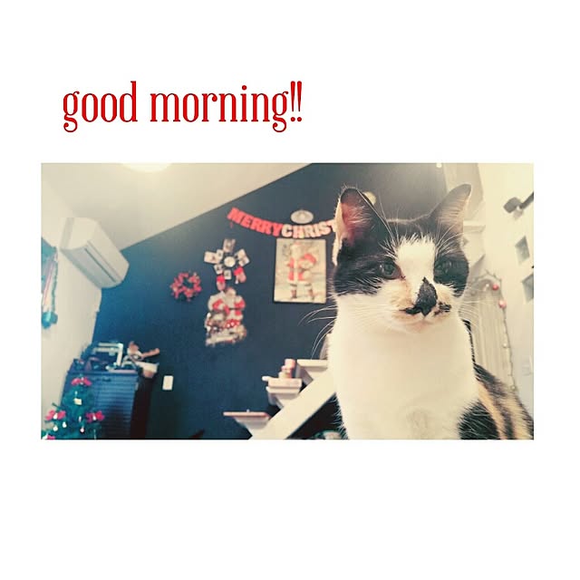 chamiさんの実例写真