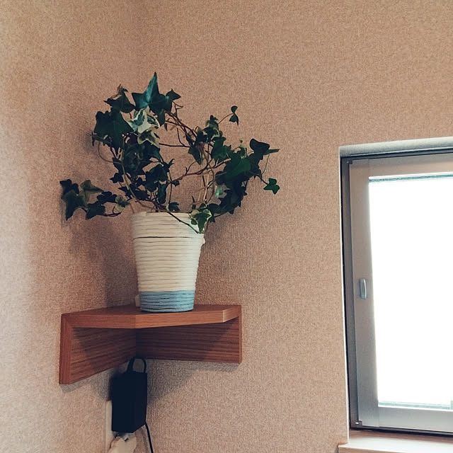 vojsq56030さんの実例写真