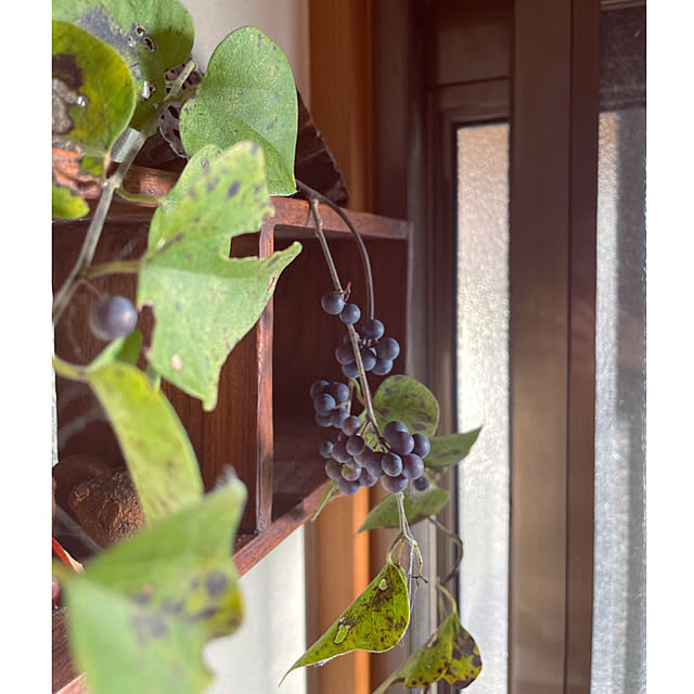 marucoさんの部屋