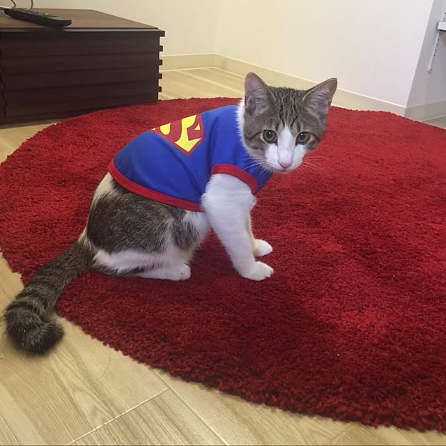chan4さんの実例写真