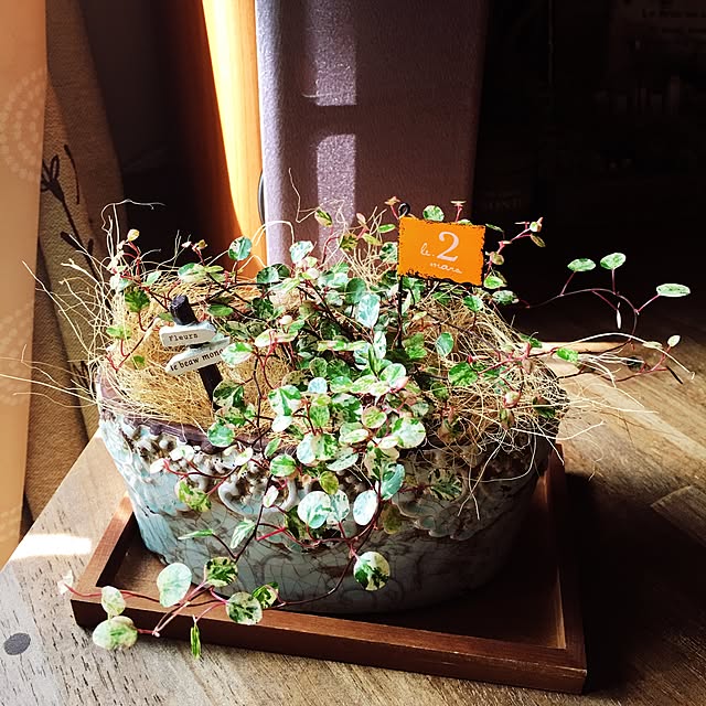chabo0395さんの実例写真