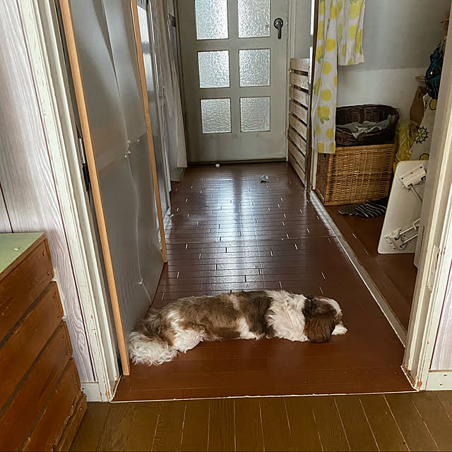 SHIHOさんの実例写真
