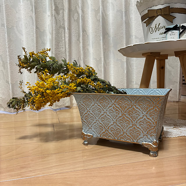 maayaさんの部屋