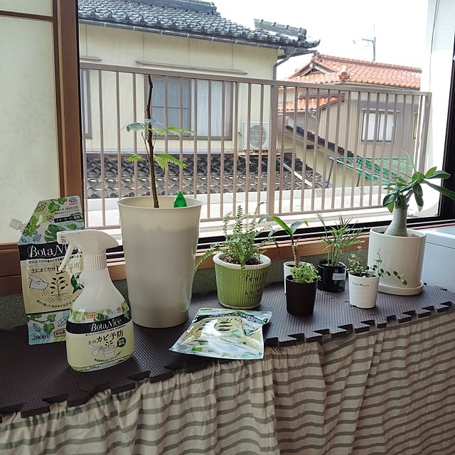 momomamaさんの部屋