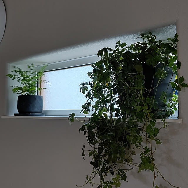 edtdさんの実例写真