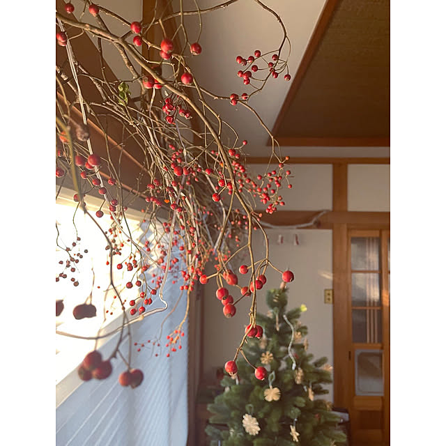 marucoさんの実例写真