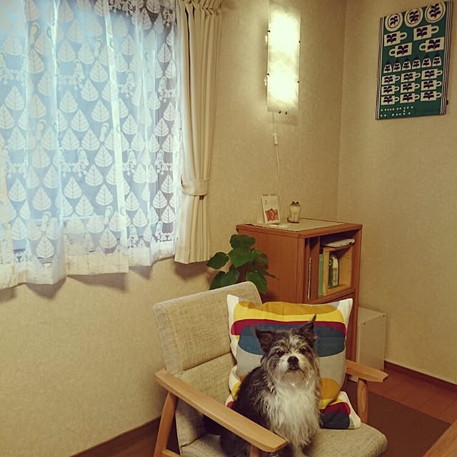 kosame918さんの実例写真