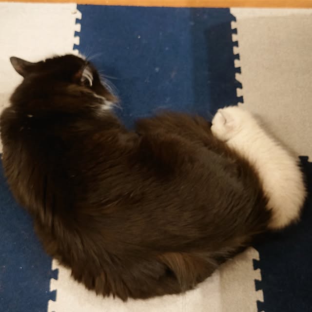 yukaさんの部屋