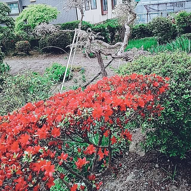 ruantaiさんの部屋