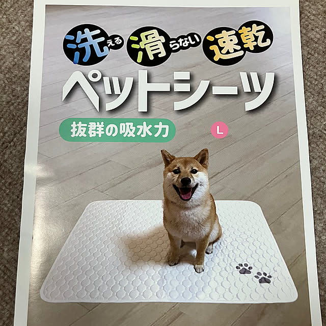 koroさんの部屋