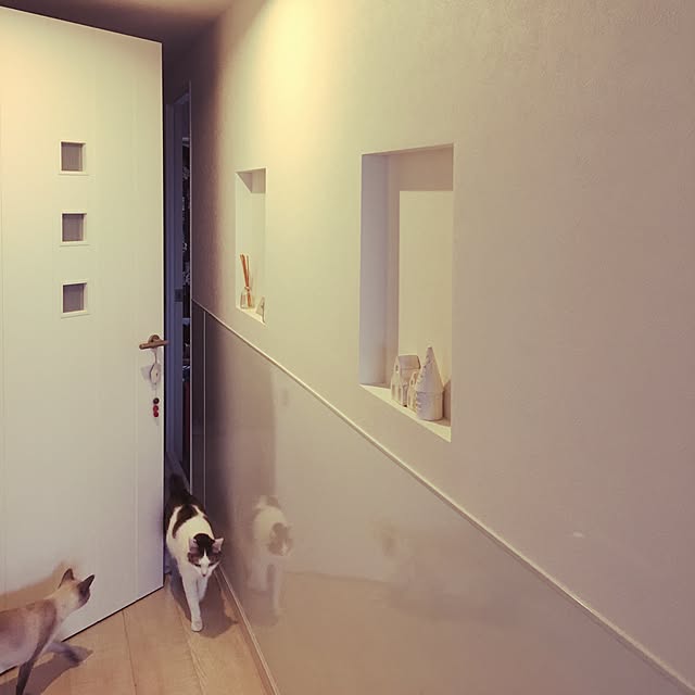 niko-25さんの実例写真