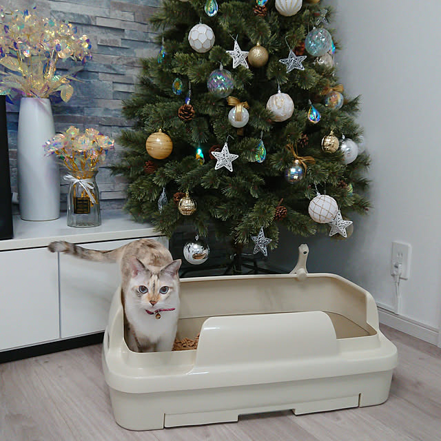 kohakuさんの実例写真