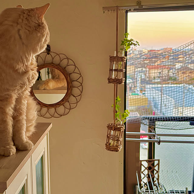 naokoさんの部屋