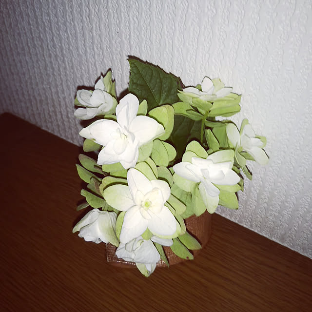 sa.yさんの実例写真