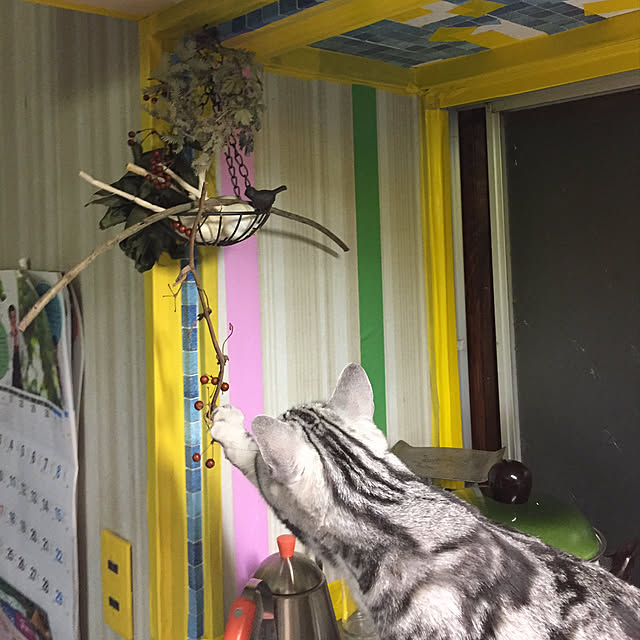 tanutanさんの実例写真