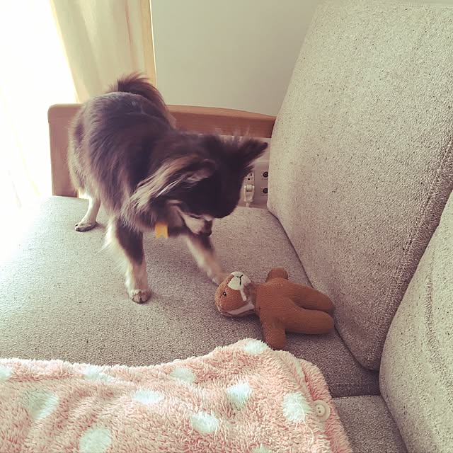 makiさんの実例写真