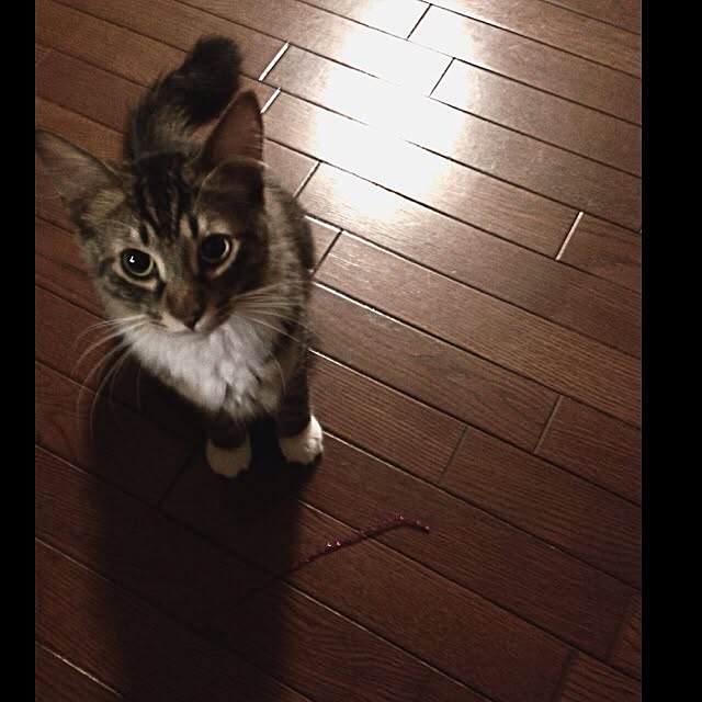 jnkaiさんの実例写真