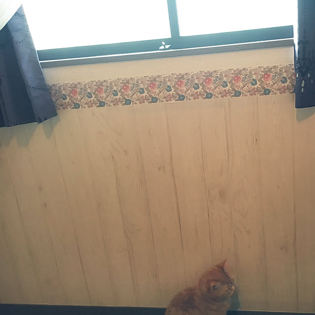 ayuminさんの実例写真