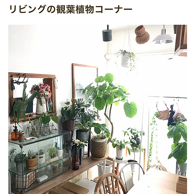hirariさんの部屋