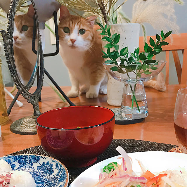 nyanko-beamさんの実例写真