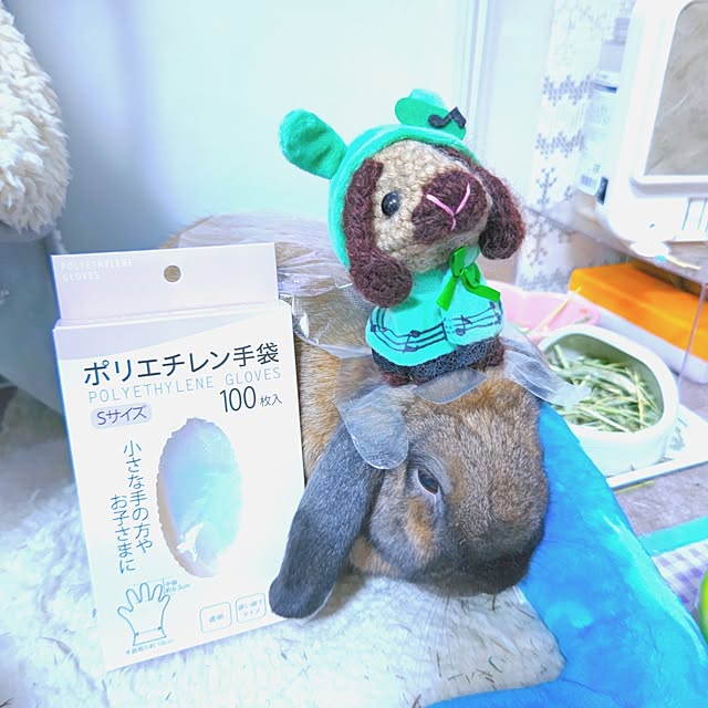 mariaさんの部屋