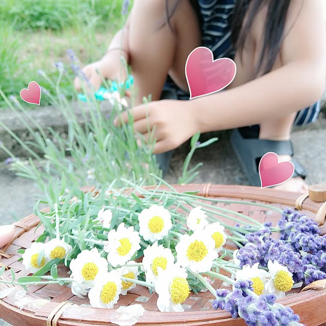 Chomeakiさんの実例写真