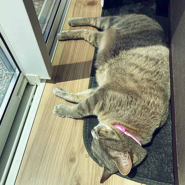 Roby1018さんの実例写真