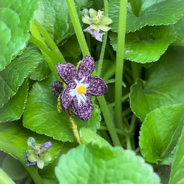 fawnさんの実例写真