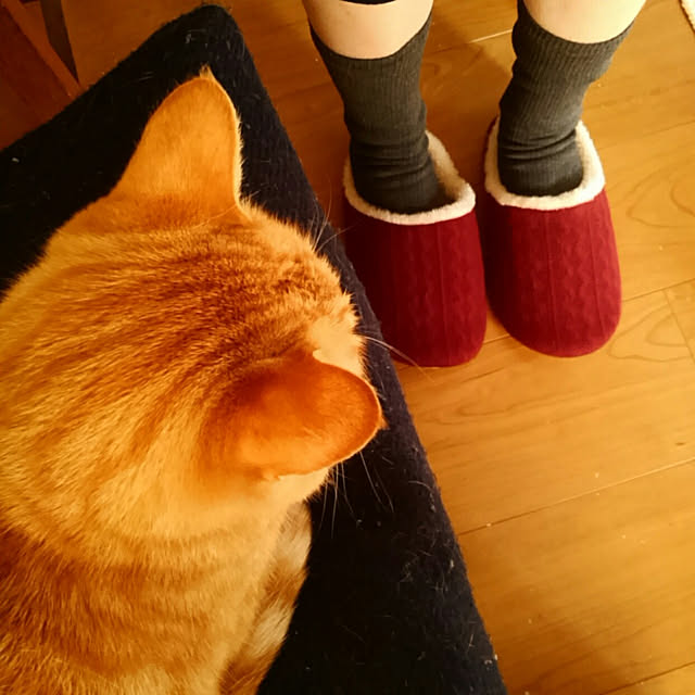 mayutan.さんの実例写真