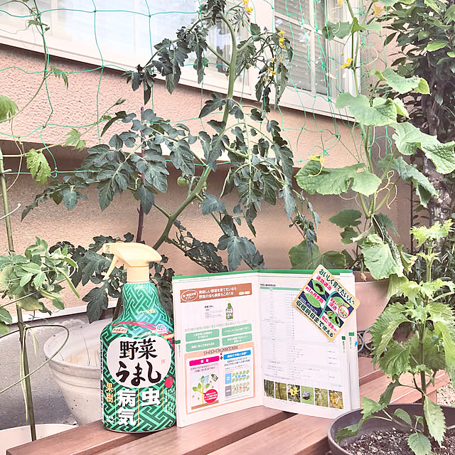 tararaさんの実例写真