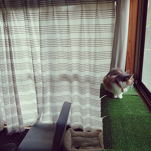 fukuさんの実例写真