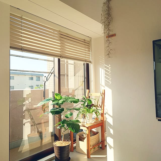 karinさんの部屋