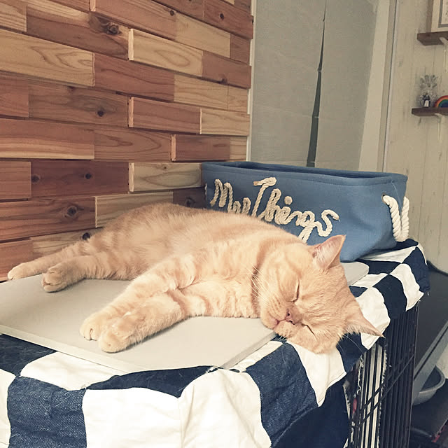 cocoさんの実例写真