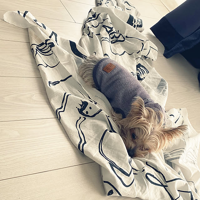 ohanaさんの部屋