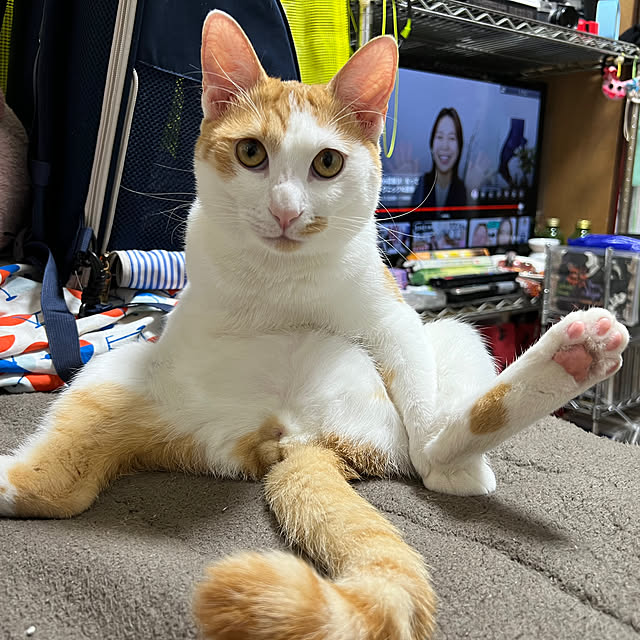 ackyさんの実例写真