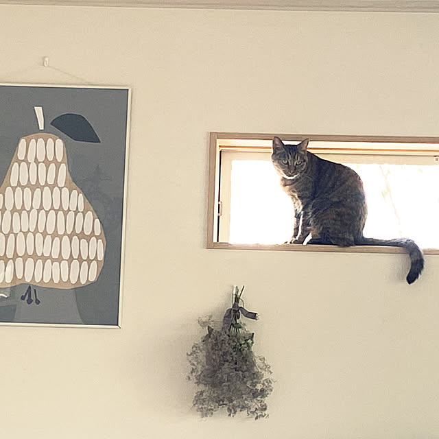 Kumiさんの実例写真