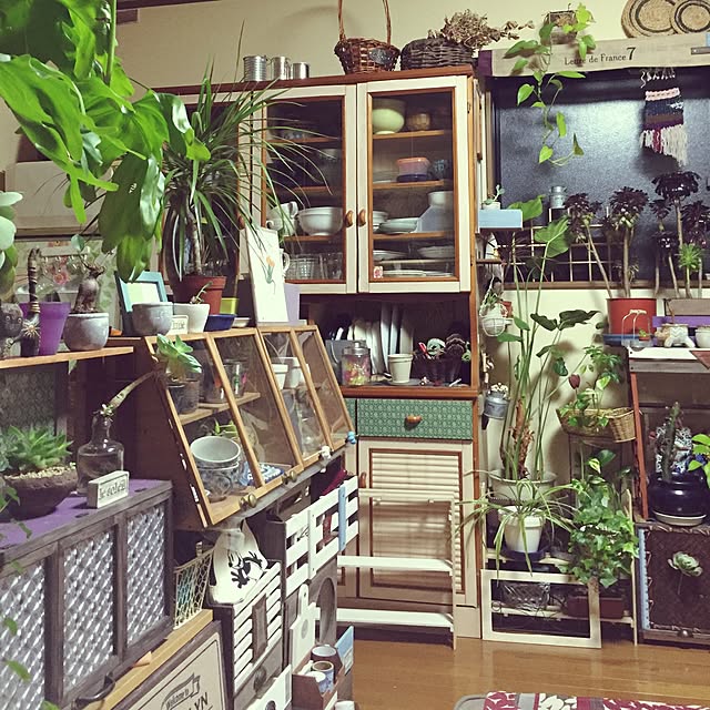 Norikoさんの実例写真