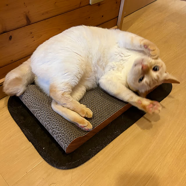 milkさんの部屋