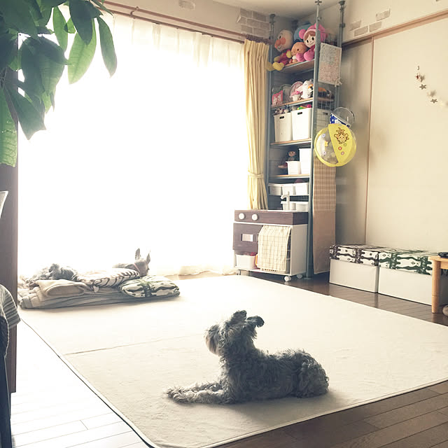 me_sweetさんの実例写真